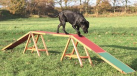 TRIXIE Dog Activity Kładka dla Psa - Zdjęcie główne