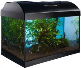 DIVERSA StartUp 40 LED Expert 6W Zestaw Akwarystyczny 25L*TYLKO-ODBIÓR-OSOBISTY* - Zdjęcie główne