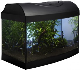 DIVERSA StartUp 40 AP LEDX 6W Zestaw Akwarystyczny 25L*TYLKO-ODBIÓR-OSOBISTY* - Zdjęcie główne