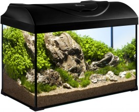 DIVERSA StartUp 50 LED Expert 10W Zestaw Akwarystyczny 37,5l*TYLKO-ODBIÓR-OSOBISTY* - Zdjęcie główne