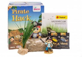 DIVERSA Mini zestaw akwarystyczny Skarb Pirata Hacka*TYLKO-ODBIÓR-OSOBISTY* - Zdjęcie główne