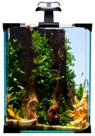 DIVERSA nanoLED 10 LED  Zestaw Akwarystyczny 10L*TYLKO-ODBIÓR-OSOBISTY* - Zdjęcie główne