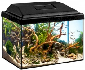 DIVERSA StartUp 30 LED Expert 3W Zestaw Akwarystyczny 12l*TYLKO-ODBIÓR-OSOBISTY* - Zdjęcie główne