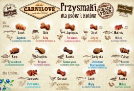 CARNILOVE CAT Crunchy Snack Salmon Mint ŁOSOŚ 50g - Zdjęcie nr 3