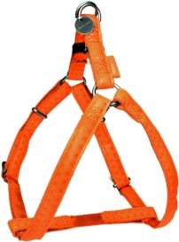 ZOLUX Szelki regulowane Mac Leather Pomarańczowa 10mm - Zdjęcie nr 4