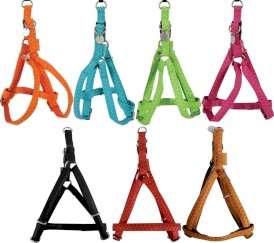 ZOLUX Szelki regulowane Mac Leather Pomarańczowa 10mm - Zdjęcie główne