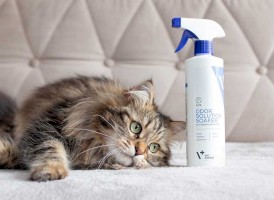 VET EXPERT Cat Odor Eliminator odorów kotów 500ml - Zdjęcie nr 2