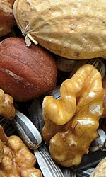 NATURAL-VIT z Orzechami Karma całoroczna dla dzikich ptaków - Zdjęcie nr 2