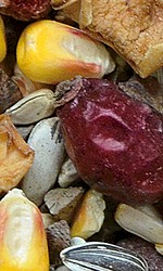 NATURAL-VIT z Owocami Karma całoroczna dla dzikich ptaków - Zdjęcie nr 2