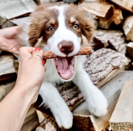 Happy Snacky NAPSANOSY Kabanosy z Sarny 3szt. - Zdjęcie nr 4