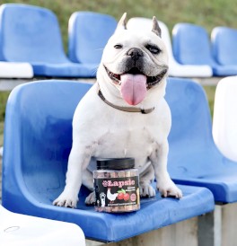 Happy Snacky ŁAPSIE Kurczak z Dziką Różą 300g - Zdjęcie nr 2