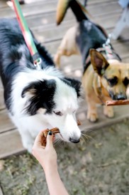 Happy Snacky NAPSANOSY Kabanosy z Wołowiny 3szt. - Zdjęcie nr 3