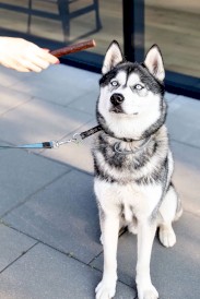 Happy Snacky NAPSANOSY Kabanosy ze Strusia 7szt. - Zdjęcie nr 4