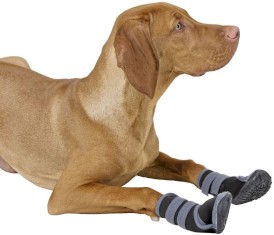 KERBL Buty dla psa Active S 6 x 5,5cm - Zdjęcie nr 3