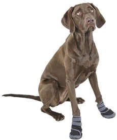 KERBL Buty dla psa Active S 6 x 5,5cm - Zdjęcie nr 4