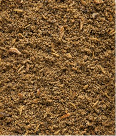 VERSELE LAGA Nutribird Insect Patee z insektami 250g - Zdjęcie nr 4