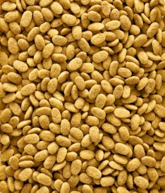 VERSELE LAGA NutriBird P19 Original Breeding 10kg - Zdjęcie nr 3