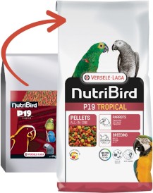 VERSELE LAGA NutriBird P19 Tropical Breeding 10kg - Zdjęcie nr 2