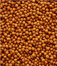 VERSELE LAGA NutriBird T20 Breeding dla tukanów 10kg - Zdjęcie nr 3