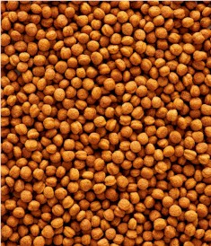 VERSELE LAGA NutriBird T16 Maintenance dla tukanów 10kg - Zdjęcie nr 3