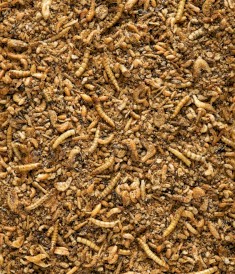 VERSELE LAGA Nutribird Insect Patee Premium owady 500g - Zdjęcie nr 3
