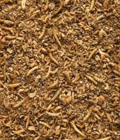 VERSELE LAGA Nutribird Insect Patee Premium owady 2kg - Zdjęcie nr 3