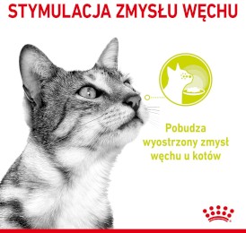 ROYAL CANIN Sensory Smell w sosie 85g - Zdjęcie nr 4