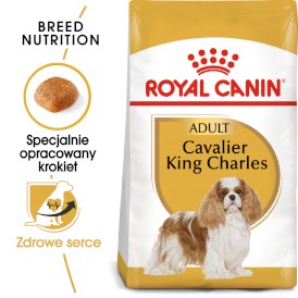ROYAL CANIN Cavalier King Charles Adult 1,5kg - Zdjęcie główne
