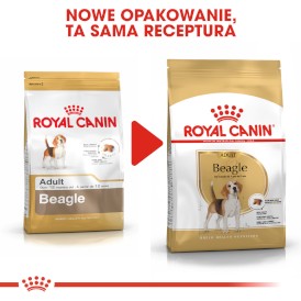 ROYAL CANIN Beagle Adult 12kg - Zdjęcie nr 6