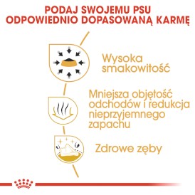 ROYAL CANIN Chihuahua Adult 500g - Zdjęcie nr 5