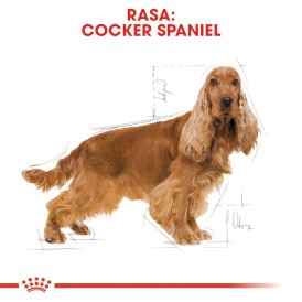 ROYAL CANIN Cocker Spaniel Adult 12kg - Zdjęcie nr 3