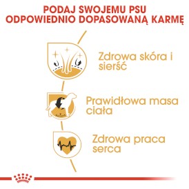 ROYAL CANIN Cocker Spaniel Adult 12kg - Zdjęcie nr 5