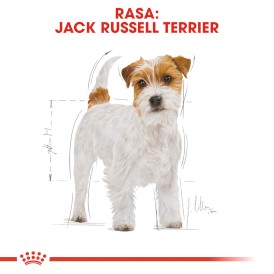 ROYAL CANIN Jack Russell Terrier Adult 7,5kg - Zdjęcie nr 3