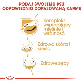 ROYAL CANIN Jack Russell Terrier Adult 500g - Zdjęcie nr 5
