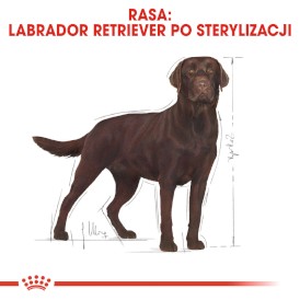 ROYAL CANIN Labrador Retriever Sterilised Adult 12kg - Zdjęcie nr 3
