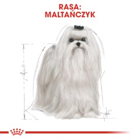 ROYAL CANIN Maltese Maltańczyk Adult 500g - Zdjęcie nr 3