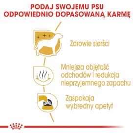 ROYAL CANIN Maltese Maltańczyk Adult 500g - Zdjęcie nr 5