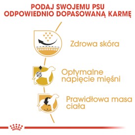 ROYAL CANIN Pug Adult MOPS 1,5kg - Zdjęcie nr 5