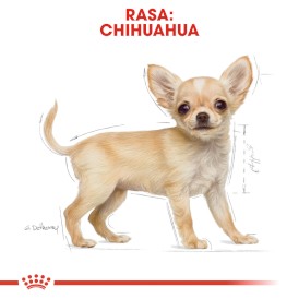 ROYAL CANIN Chihuahua Puppy 1,5kg - Zdjęcie nr 3