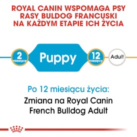 ROYAL CANIN French Bulldog Francuski Puppy 10kg - Zdjęcie nr 4