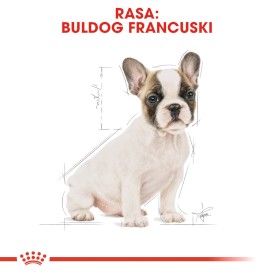 ROYAL CANIN French Bulldog Francuski Puppy 3kg - Zdjęcie nr 3