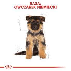 ROYAL CANIN German Shepherd Owczarek Niemiecki Puppy 1kg - Zdjęcie nr 3