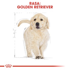 ROYAL CANIN Golden Retriever Puppy 3kg - Zdjęcie nr 3