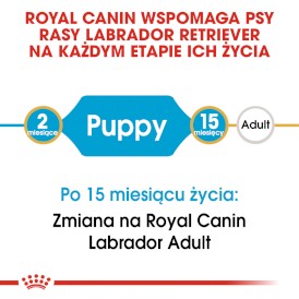 ROYAL CANIN Labrador Retriever Puppy 3kg - Zdjęcie nr 4