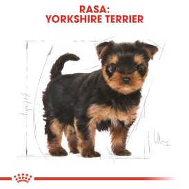 ROYAL CANIN Yorkshire Terrier Puppy 500g - Zdjęcie nr 3