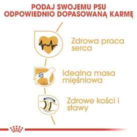 ROYAL CANIN Rottweiler Adult 12kg - Zdjęcie nr 5