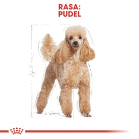 ROYAL CANIN Poodle Adult PUDEL 1,5kg - Zdjęcie nr 3