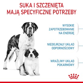 ROYAL CANIN Giant Starter Mother / Babydog 15kg - Zdjęcie nr 4