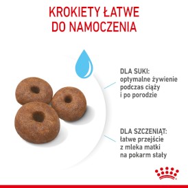 ROYAL CANIN Giant Starter Mother / Babydog 15kg - Zdjęcie nr 6