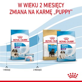 ROYAL CANIN Giant Starter Mother / Babydog 15kg - Zdjęcie nr 7